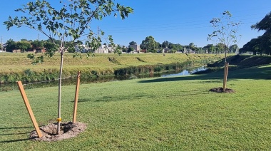 Se repusieron y replantaron árboles en el Parque Mitre
