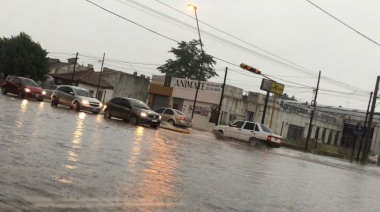 Temporal en la Provincia: hubo voladuras de techos y caídas de árboles