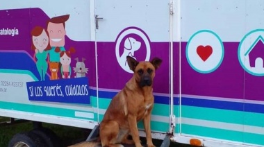 Comienza el recorrido del Quirófano Veterinario Móvil