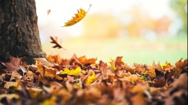 ¿Cómo estará el clima durante el otoño?