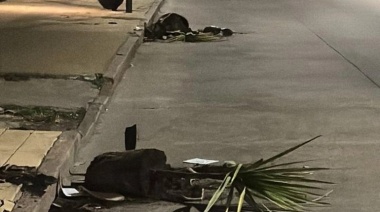 Dos hombres causaron destrozos en la vía pública