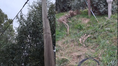 Frustraron un robo de elementos de electricidad en una obra en construcción