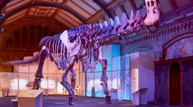 Subastarán dos esqueletos de dinosaurios