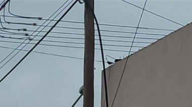 Nuevamente robaron cables que afecta los servicios de Infracom y Coopelectric