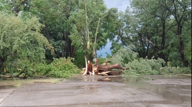 Anegamientos, voladura de techos y cortes de luz por el temporal