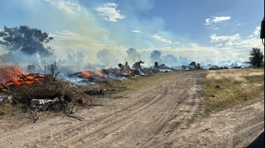 Incendiaron toneladas de leña del temporal que el Municipio acopiaba para el invierno