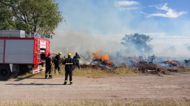 Incendiaron toneladas de leña del temporal que el Municipio acopiaba para el invierno