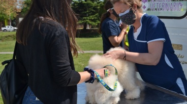 Se llevará adelante una jornada de vacunación antirrábica en el Paseo de la Salud
