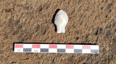 Novedosos hallazgos arqueológicos por investigadores del INCUAPA