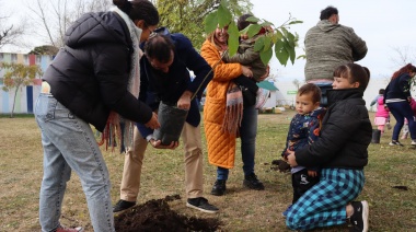 Especies nativas: se plantaron más de 50 nuevos ejemplares en los barrios Belén y Evita