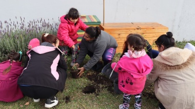 Especies nativas: se plantaron más de 50 nuevos ejemplares en los barrios Belén y Evita
