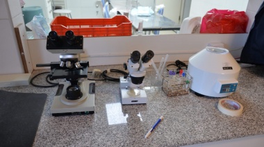 La Dirección Municipal de Bromatología recuerda los riesgos por consumo de carnes de caza
