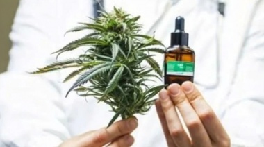 Capacitación destinada a personal de salud sobre cannabis para uso medicinal