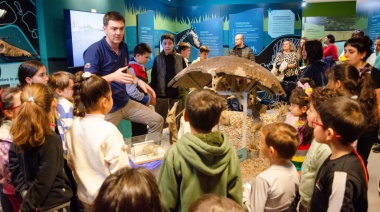 El Museo de las Ciencias “Ing. Rita Toniutti” te invita a hacer un viaje al pasado de Olavarría