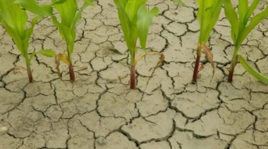 La primavera viene de la mano de “La Niña”, que traerá sequías y bajas temperaturas