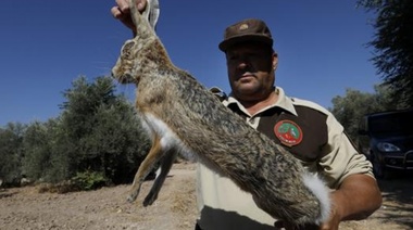 Habilitan por tres meses la caza de liebres, patos y perdices en Olavarría y la zona