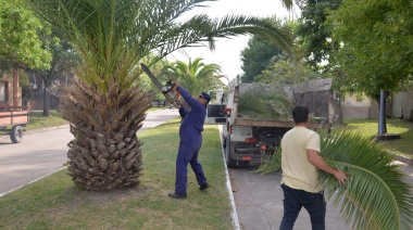El Municipio desplegó un operativo de abordaje integral en Colonia San Miguel