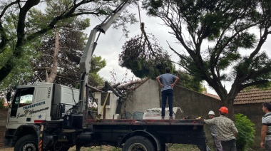 Un fuerte temporal azotó a la ciudad este domingo