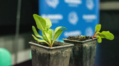 Mes del compostaje: Con buena concurrencia se desarrolló el Taller de Huerta