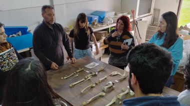 Se cumplen 20 años de la creación del Doctorado en Arqueología