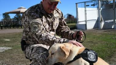 SPB de Sierra Chica: se jubiló un perro detector de estupefacientes y fue adoptado por su guía