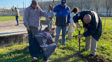 En la Semana del Árbol se plantaron más de 70 nuevas especies