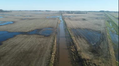 Nación declaró la emergencia agropecuaria en 12 distritos bonaerenses