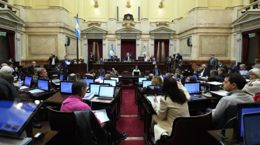 El Senado dio media sanción para modificar el régimen legal de los DNU