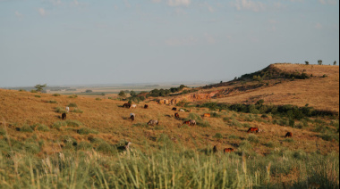 Suspenden servicios y actividades del Municipio
