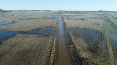 Estiman en 5 millones las hectáreas afectadas por las lluvias en la Provincia