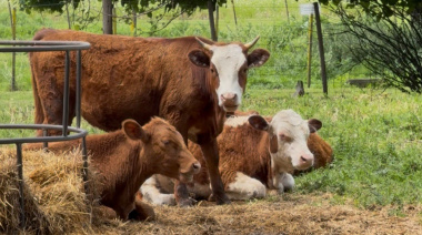 El Municipio recuperó animales y los entregó a la Escuela Agraria
