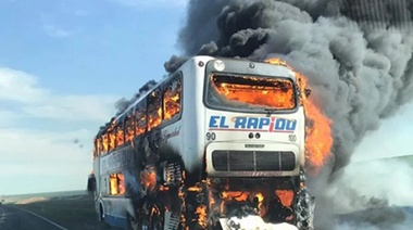 Ruta 226: Se incendió un micro de "El Rápido" en pleno viaje