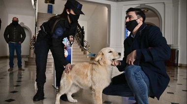 Galli recibió a “Conan” que participará del curso de canes detectores de drogas