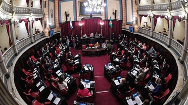 La Cámara de Diputados bonaerense aprobó y giró al Senado un proyecto de ley sobre Parto Respetado