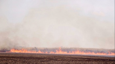 Incendios forestales: Provincia reglamentó la ley de Manejo del Fuego