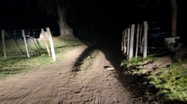 Una nena de 10 años se encuentra grave tras ser atacada por una jauría en un campo de Bolívar