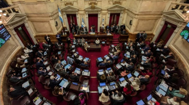 Golpe político a Javier Milei: el Senado rechazó el veto a la emergencia en Discapacidad