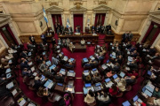Golpe político a Javier Milei: el Senado rechazó el veto a la emergencia en Discapacidad