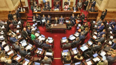 Son ley el paquete previsional completo y la emergencia en discapacidad