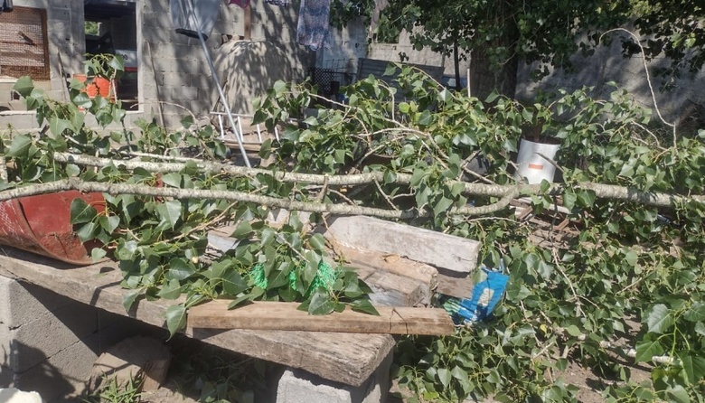 Una vecina del Barrio Isaura solicita que “el Municipio corte un árbol lindero” a su casa