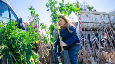 Se entregarán árboles para mejorar el arbolado urbano de Olavarría