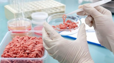 Confirman otro brote de triquinosis en la Provincia de Buenos Aires