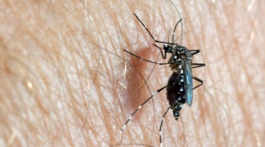 Dengue: Tras una temporada récord, solo queda un municipio en brote y con monitoreo de casos