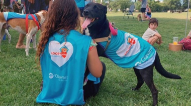 Se suspendió la jornada “Adoptame Olavarría”