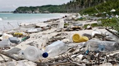 El plástico es el contaminante más abundante en la costa bonaerense: está presente en 7 de cada 10 residuos