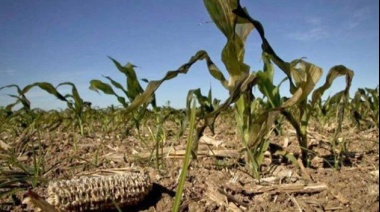 Se decretó la prórroga de la Emergencia Agropecuaria por sequía en la Provincia de Buenos Aires