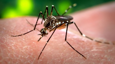 Por sospecha de dengue, se realizará un nuevo bloqueo