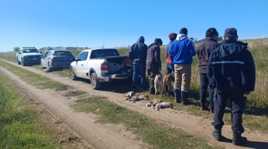 Cinco aprehendidos por cazar liebres con perros galgo
