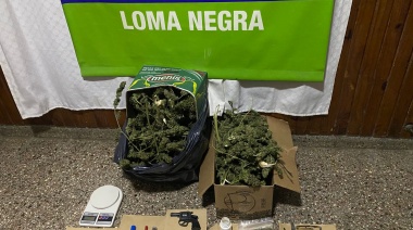 Loma Negra: secuestraron más de 5 kilos de marihuana y aprehendieron a un hombre en un allanamiento
