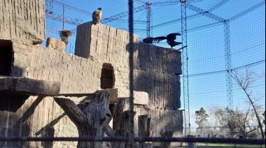 El Bioparque “La Máxima” sigue consolidándose en el Proyecto de Conservación del Cóndor Andino